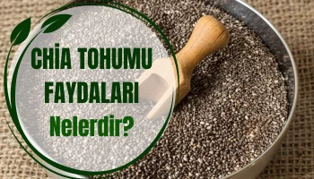 Chia Tohumu Faydaları Nelerdir